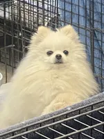 processed/99333ea5-5343-4dce-84af-d02b745c9bef/facility/09867d23-014a-4911-8368-8e7e5ce86440