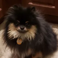 processed/99333ea5-5343-4dce-84af-d02b745c9bef/facility/136ccbd8-7a2f-4660-a365-c6bb819fa267