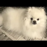 processed/99333ea5-5343-4dce-84af-d02b745c9bef/facility/305562b1-243c-4f7f-9584-b757a699ace8