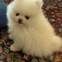 processed/99333ea5-5343-4dce-84af-d02b745c9bef/facility/3a74449b-60aa-49dc-95f1-22f3d2840d13