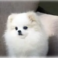 processed/99333ea5-5343-4dce-84af-d02b745c9bef/facility/448f0896-c642-49d3-8608-1f27c390eb5f