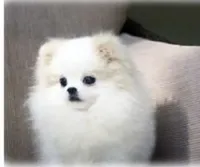 processed/99333ea5-5343-4dce-84af-d02b745c9bef/facility/448f0896-c642-49d3-8608-1f27c390eb5f