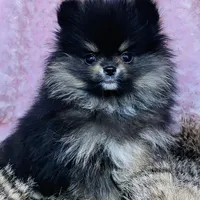 processed/99333ea5-5343-4dce-84af-d02b745c9bef/facility/cf45ebf8-3873-40b0-8249-3cbf2c66cb8b