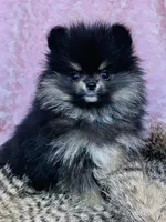 processed/99333ea5-5343-4dce-84af-d02b745c9bef/facility/cf45ebf8-3873-40b0-8249-3cbf2c66cb8b