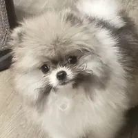 processed/99333ea5-5343-4dce-84af-d02b745c9bef/facility/d3181ca5-bcf3-4a36-bb85-db69ce4e8811