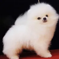 processed/99333ea5-5343-4dce-84af-d02b745c9bef/facility/d931cd4e-4bbb-43c8-9e56-d3d139e0552e