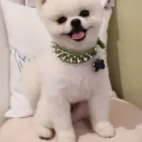 processed/99333ea5-5343-4dce-84af-d02b745c9bef/facility/d94df157-4440-45f5-9202-d3b62cbb0f34