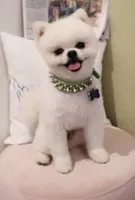 processed/99333ea5-5343-4dce-84af-d02b745c9bef/facility/d94df157-4440-45f5-9202-d3b62cbb0f34