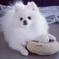 processed/99333ea5-5343-4dce-84af-d02b745c9bef/facility/e13b4860-81d1-4e8b-87bc-2b2b837881ad