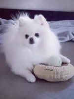 processed/99333ea5-5343-4dce-84af-d02b745c9bef/facility/e13b4860-81d1-4e8b-87bc-2b2b837881ad