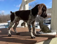 processed/993d435e-65e4-4466-9e37-1e57a4f8c443/listing/943e8763-3dd3-4d2b-b5dc-4d18294f43e3/159f60cb-03f1-4568-9f28-66a8814d676b