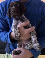 processed/993d435e-65e4-4466-9e37-1e57a4f8c443/listing/943e8763-3dd3-4d2b-b5dc-4d18294f43e3/5e5174c7-003f-49d6-b88a-adf30ebd9646