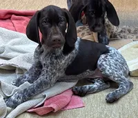 processed/993d435e-65e4-4466-9e37-1e57a4f8c443/listing/943e8763-3dd3-4d2b-b5dc-4d18294f43e3/6b3cb02d-1241-492f-89f0-ba0a21ab593a