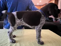 processed/993d435e-65e4-4466-9e37-1e57a4f8c443/listing/943e8763-3dd3-4d2b-b5dc-4d18294f43e3/88a5e003-3b72-4d29-909d-daf880bcf059