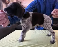 processed/993d435e-65e4-4466-9e37-1e57a4f8c443/listing/943e8763-3dd3-4d2b-b5dc-4d18294f43e3/b80bcc7e-d1b4-40a0-89f1-1a1a899d91e7