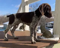 processed/993d435e-65e4-4466-9e37-1e57a4f8c443/listing/943e8763-3dd3-4d2b-b5dc-4d18294f43e3/dd84a6a2-9da5-4799-a298-e02a529fb917