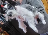 processed/9948cb81-c6c1-4552-a99a-5b5b8cac1dd5/listing/68518687-974b-4c5e-bb6a-e7afad1c567a/55e861a0-7b6a-4552-b683-24d5fd545d37