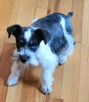 processed/9948cb81-c6c1-4552-a99a-5b5b8cac1dd5/listing/68518687-974b-4c5e-bb6a-e7afad1c567a/5c396d0b-4e5c-4f0c-9f46-e57a26bddb9b