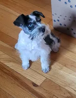 processed/9948cb81-c6c1-4552-a99a-5b5b8cac1dd5/listing/68518687-974b-4c5e-bb6a-e7afad1c567a/ddc3bd5b-a277-43d3-963b-f2a802afd2da