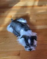 processed/9948cb81-c6c1-4552-a99a-5b5b8cac1dd5/listing/68518687-974b-4c5e-bb6a-e7afad1c567a/f966b5c9-d5c1-4b99-8563-c217469b78e4