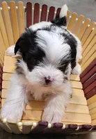 processed/9948cb81-c6c1-4552-a99a-5b5b8cac1dd5/listing/d5131e4e-2bf7-4d46-8c71-dd9cb7c4751f/6a1ea759-df76-460a-9c23-3c20188437e0