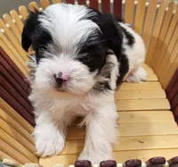 processed/9948cb81-c6c1-4552-a99a-5b5b8cac1dd5/listing/d5131e4e-2bf7-4d46-8c71-dd9cb7c4751f/af41f8cc-fa06-4f98-af80-e91823cfaa7f