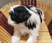 processed/9948cb81-c6c1-4552-a99a-5b5b8cac1dd5/listing/d5131e4e-2bf7-4d46-8c71-dd9cb7c4751f/cdb46516-bc47-49a4-9d24-8c9fcd292e17