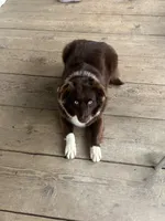 processed/9951aca1-a1d5-4d59-a780-5e2e326b352f/listing/03bf745e-63bc-4bae-be08-1659b0a2ff99/026fdeee-d2ae-4e01-ba13-071746c1e39c