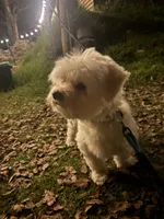 processed/9951aca1-a1d5-4d59-a780-5e2e326b352f/listing/a13f5b22-1916-49f3-ae53-178da8d2c218/c7157457-8b1f-460d-9a4e-b04cd1288c7a