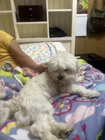 processed/9951aca1-a1d5-4d59-a780-5e2e326b352f/listing/a13f5b22-1916-49f3-ae53-178da8d2c218/d41fc468-b9d9-4f33-8e47-39602dab2fde