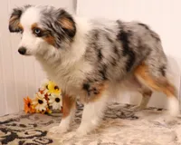 processed/9958b681-da6c-4ffd-a8da-709721758855/listing/02826144-132d-40b6-85e5-f83d715beb3f/9987bad6-6f14-406b-ad34-bd1d5c598edb