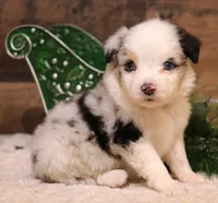 processed/9958b681-da6c-4ffd-a8da-709721758855/listing/02826144-132d-40b6-85e5-f83d715beb3f/e9b134b2-385e-4d83-8a3f-062f879ce2b8