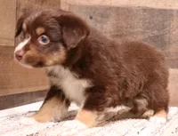 processed/9958b681-da6c-4ffd-a8da-709721758855/listing/14827b92-0bcb-4a5f-b71f-8dbb2c2c3d49/9464f75d-1945-414c-bebb-92653311fac7