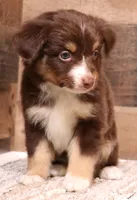 processed/9958b681-da6c-4ffd-a8da-709721758855/listing/14827b92-0bcb-4a5f-b71f-8dbb2c2c3d49/e2008dd8-a641-454d-a065-89ee57f30a72