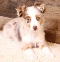 processed/9958b681-da6c-4ffd-a8da-709721758855/listing/20aec5c1-1f7e-43bf-804a-9b822eb6943b/10103b34-cb6c-4dcd-a3b5-8c29a9a56698