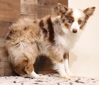 processed/9958b681-da6c-4ffd-a8da-709721758855/listing/20aec5c1-1f7e-43bf-804a-9b822eb6943b/7a5a9d41-a5c2-4b44-8030-dbc80d32fb17