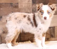 processed/9958b681-da6c-4ffd-a8da-709721758855/listing/20aec5c1-1f7e-43bf-804a-9b822eb6943b/a9e00ca2-9be1-4afc-9f9f-662526721e73