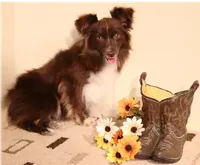 processed/9958b681-da6c-4ffd-a8da-709721758855/listing/20aec5c1-1f7e-43bf-804a-9b822eb6943b/ae7a663f-1db0-4b2a-ae50-34f7b7bc5036