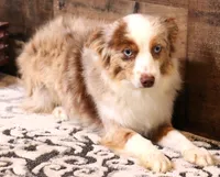 processed/9958b681-da6c-4ffd-a8da-709721758855/listing/20aec5c1-1f7e-43bf-804a-9b822eb6943b/c025f330-d22b-4951-ab0f-4572e6d8b513