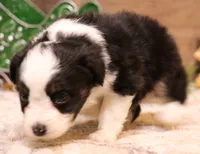 processed/9958b681-da6c-4ffd-a8da-709721758855/listing/3b60e653-3c3d-49e0-8980-5b3d1910c7e7/1c5fbc0d-c049-4003-b58f-148b666852de