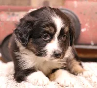 processed/9958b681-da6c-4ffd-a8da-709721758855/listing/789a227a-b46d-4159-bd4f-4be86ba75303/28bebb95-69cc-4407-968c-9f0cb35df8a0