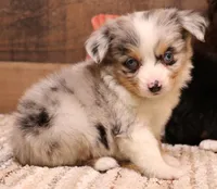 processed/9958b681-da6c-4ffd-a8da-709721758855/listing/7fdb308b-7551-4505-9b45-6c50b64f4f10/8732eac2-0084-44f9-b22e-5dbf7d6d7ca7