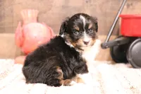 processed/9958b681-da6c-4ffd-a8da-709721758855/listing/8c7a7ee8-8f88-45a2-893c-e2dd4bf551fd/af01a7be-447a-464e-ae90-8d76313bf8af