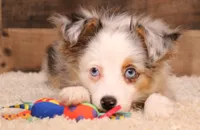 processed/9958b681-da6c-4ffd-a8da-709721758855/listing/8efcd567-c187-4c80-b21a-28b78fdf43f5/4205a7b9-8b29-4fdd-843f-ac8c9411e1e1