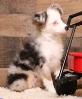 processed/9958b681-da6c-4ffd-a8da-709721758855/listing/8efcd567-c187-4c80-b21a-28b78fdf43f5/435597c2-ba03-4677-a2e3-07d6d6d03336