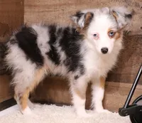 processed/9958b681-da6c-4ffd-a8da-709721758855/listing/8efcd567-c187-4c80-b21a-28b78fdf43f5/f1092938-153c-4cf0-9f99-f2be1ee58c18