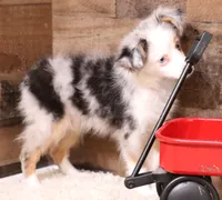 processed/9958b681-da6c-4ffd-a8da-709721758855/listing/8efcd567-c187-4c80-b21a-28b78fdf43f5/ff6417d9-8de7-47b4-803a-d8ae59adb07d