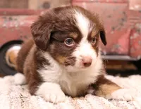 processed/9958b681-da6c-4ffd-a8da-709721758855/listing/955012cf-a041-4265-bd87-d0c8828cbf63/1d6cfbd5-f20a-49eb-b3e9-04b1e9fe22eb