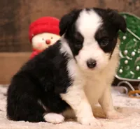 processed/9958b681-da6c-4ffd-a8da-709721758855/listing/a7af437a-4f73-47e0-bb7e-d3c6343b7b81/5f506a42-aa74-494c-94bb-36b1a38abc77