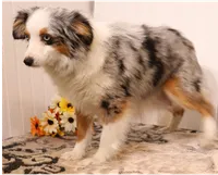 processed/9958b681-da6c-4ffd-a8da-709721758855/listing/a7af437a-4f73-47e0-bb7e-d3c6343b7b81/6cbc933c-6b5c-4206-98f4-41c008d8553f